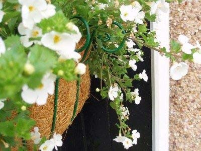 12 inch Coco Liner for planters 2PCS Replacement Round Plant Basket Liners Natural Coco Fiber Liner for Hanging Basket (12 inch) - size: 12 Inch
