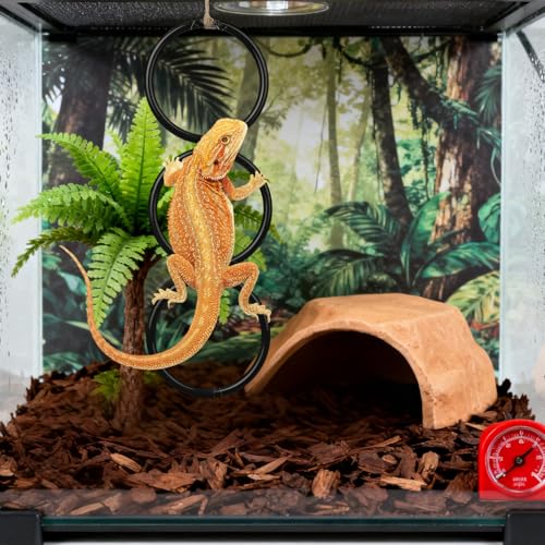 6pcs Snake Climbing Rings for Ball Python, 26.8x4.5'' Snake Climbing Rings | with Hemp Rope, Enrichment Toys for Corn Snake, Reptile Tank Cage Decor Habitat Accessories for Terrarium, Chameleon, Parrot