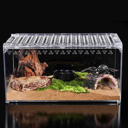 Tarantula Enclosure Spider Terrarium Hermit Crab Tank Large | Polycarbonate Escape Proof Reptile Habitat 11.8" x 7.87" x 5.9" Full View for Isopods Bug Insect Frog Gecko Snails - size: L-Only Terrarium