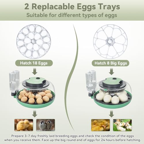 18 Egg Incubator with Automatic Egg Turning for Hatching Chicken Quail Duck | Hatching Unit with Digital Control & Built-in Candler, 2 Size Egg Tray Automatic Water Refill, Egg Incubator for Turkey Goose