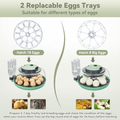 18 Egg Incubator with Automatic Egg Turning for Hatching Chicken Quail Duck | Hatching Unit with Digital Control & Built-in Candler, 2 Size Egg Tray Automatic Water Refill, Egg Incubator for Turkey Goose