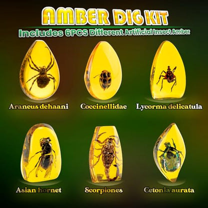 GobiDex Amber Dig Kit for Kids Ages 6+, Excavate 6 Insects Specimens | STEM Geographic Educational Bugs Toys, Excavation Toys for Fun Bugs Party Favors, Science Kits for Kids Age 6-8 8-12