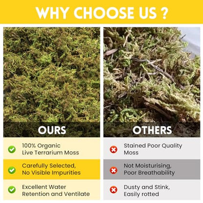 Riare 2.6lb Natural Sphagnum Moss for Reptiles, Terrarium Substrate Bedding | 100QT High Expansion, Moisture Retention, Helps Shedding, Long Fibered Dried Moss for Leopard Gecko, Snake, Frog, Turtle - color: 2.6 LB