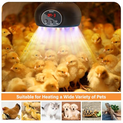 Chicken Coop Heater Lamps,200W-350W-500W Reptile Heating Lamp Upgraded with UVA UVB Ligh 3-6-9-12H Timer,Protable Greenhouse Heater for Outdoor Chicken Coop for Reptile Rabbits Dog Cats (5.2 Inch)