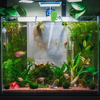 Beavorty Manual Acrylic Fish Tank Water Changer Hand Pump Mechanism for Quick Water Changes in Small Aquariums and Fish Bowls Aquarium Cleaning Tool