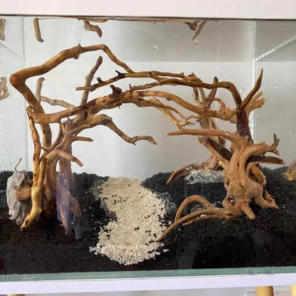 Natural Aquarium Driftwood, [170g] ( 20–40 cm /8–16 in) - Unique Root/Spider Wood Branches for Aquascaping, Planted Tanks & Terrariums, Fish & Plants Decoration Each Piece One-of-a-Kind(Branches Only) - style: Branches Only
