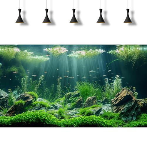 2 Packs Underwater Aquarium Background Lush Green Aquatic Plants Fish Tank Background Undersea Stone with Moss Tropical Reptile Tank Backgrounds Under The Sea World Aquarium Backgrounds 24x12in - color: Dark Green, size: 24(W)x12(H)in