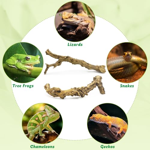 Reptile Branch Decor 2 Pcs Snake Climbing Wood Branches Lizard Habitat Decorations Terrarium Natural Forest Tree Trunk Ornament for Bearded Dragon Geckos Chameleon Frog
