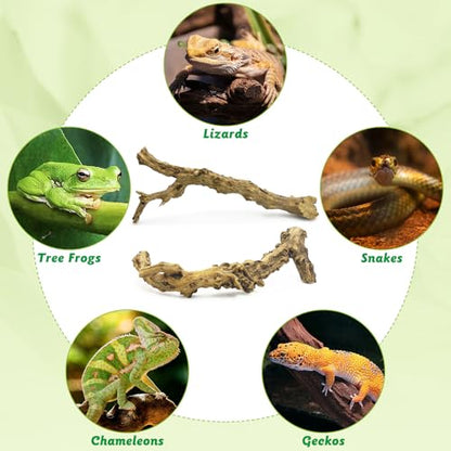 Reptile Branch Decor 2 Pcs Snake Climbing Wood Branches Lizard Habitat Decorations Terrarium Natural Forest Tree Trunk Ornament for Bearded Dragon Geckos Chameleon Frog