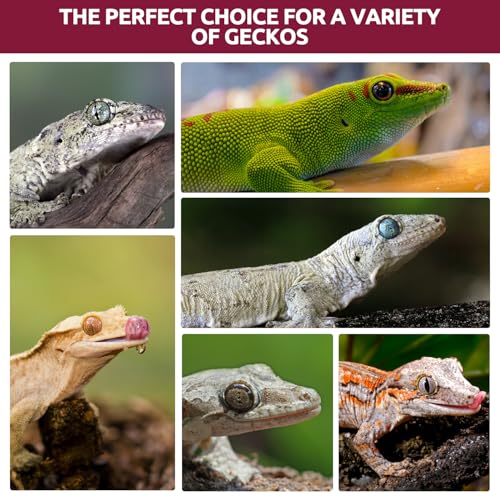 Gecko Food, Fruit Mix Fig and Insects Gecko Diet 2 oz
