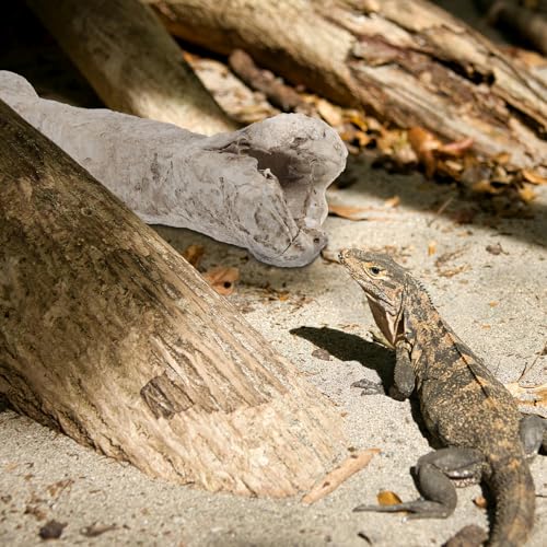 TOYANDONA Resin Reptile Hideout Cave Shelter Bone Decor Small Portable Hiding Place for Reptile Terrarium Tank Habitat