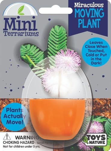 Toys By Nature Mini Terrarium Moving Plant Bundle, 100% USA Made Complete Starter Kit for Indoor Planting, Interactive Gardening Experience and Easy to Grow Seeds Just Add Water, 5-Pack - color: Moving Plant Bundle