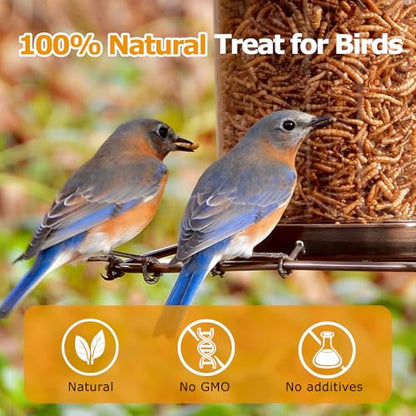 5LB Dried Mealworms, Non-GMO Meal Worms for Chickens & Birds, High Protein Chicken Feed, Natural Chicken Worms Ideal for Wild Birds, Reptile Tasty Bird Food
