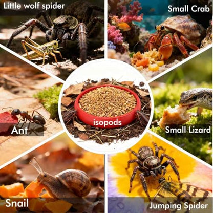 12-Pack Small Feeding Dish for Reptiles, Colorful Feeder Bowls for Isopods, Springtails, Dubia Roaches & Dwarf Invertebrates, Mini Food Bowls for Terrarium & Enclosure