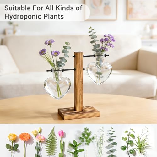Mkono Propagation Stations,2 Heart Shaped Glass Plant Vases with Wood Stand | Hydroponic Terrarium, Desktop Propagation Jars, Cute Air Plant Flower Holder,Home Office Decor, Plant Lover Gardening Gift - size: 2 Heart Bulb Vase