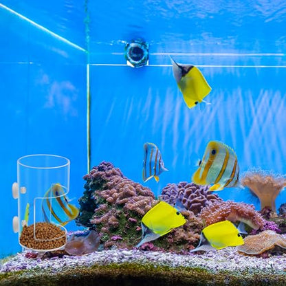 New Fish Tank Feeding Tray with Suction Cup, Feeding Tube Supplies, Tank Divider Supplies, Breeder Box for Aquarium, Round Aquariums & Fish Bowls Accessories - color: 2.Transparent