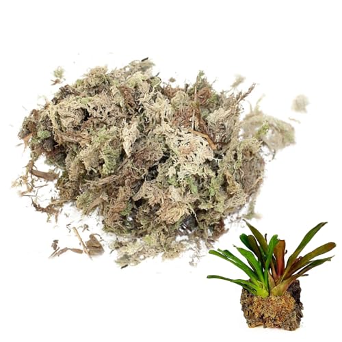 Reptile Spagnum Moss Sphagnum Moss Dried Spagnum Dry Moss for Reptiles Bedding and Terrarium Pet Supplies 150g