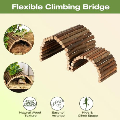 10PCS Crested Gecko Tank Accessories, Leopard Gecko Tank Accessories | Reptile Tank Accessories Kit, Coconut Hide for Crested Gecko/Leopard Gecko/Lizard/Snake/Hermit Crab/Chameleon Terrarium Decor