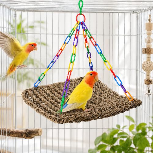 Reptile Hammock Lizard 、Parrot Basking Platform, Size M | Aquarium Grass Woven, Rainbow Chain Hammock, Bird Perch Swing Toy, Climbing Ladder for Bearded Dragon Gecko Chameleon - size: M