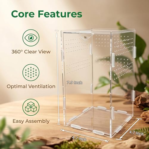 Portable Acrylic Jumping Spider Terrarium with Magnetic Lock 4.7×4.7×7.9" | Ventilated design; secure magnetic lock closure. Designed for small reptiles & insects. Lightweight for travel and display - size: 4.7×4.7×7.9 Inch
