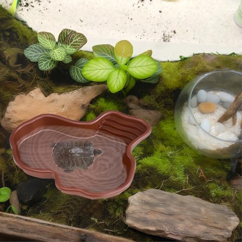 Reptile Bathing Pool, Extra Large Reptile Water Bowl, Plastic Snake Water Dish for Turtles, Gecko Feeding Dish, Irregular Freeform Design