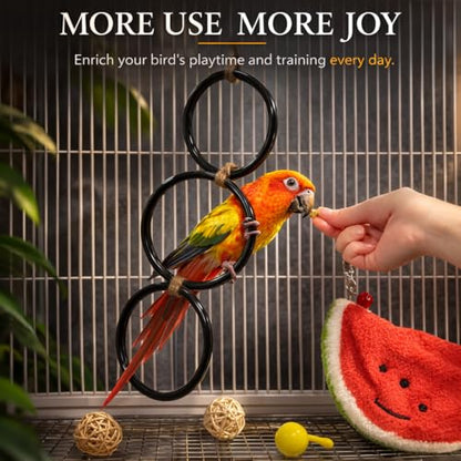 2PCS Snake Climbing Rings for Ball Python - Enrichment Toys for Corn Snake | Reptiletank Cage Decor Habitat Accessories | Terrarium, Bearded Dragon, Chameleon, Iguana, Gecko, Lizard, Parrot