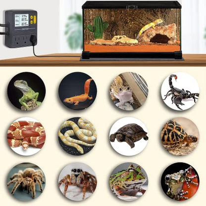 DIGITEN Day-Night Reptile Temperature Controller with Timer | 3-Stage Thermostat Outlet, Cooling & Heating Mode for Terrarium, Ball Python, Bearded Dragon, Heat Mat,Mushroom, Fermentation