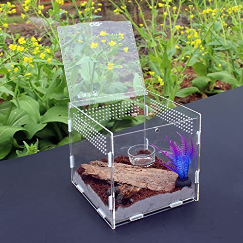 AWXZOM Magnetic Acrylic Case, micro habitat small Tarantula Enclosure enclosure for arboreal Tarantula Scorpion Sling Lizards Mantis Snake Gecko jumping spider snail Insect Isopods (3.5*3.5*3.7inch) - size: 3.5*3.5*3.7inch