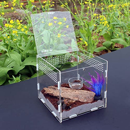 AWXZOM Magnetic Acrylic Case, micro habitat small Tarantula Enclosure enclosure for arboreal Tarantula Scorpion Sling Lizards Mantis Snake Gecko jumping spider snail Insect Isopods (3.5*3.5*3.7inch) - size: 3.5*3.5*3.7inch