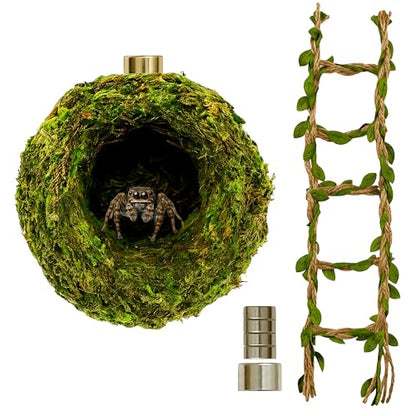 Jumping Spider Accessories - Moss Hideout with Hemp Rope Bridge | Magnetic decor set for jumping spider enclosures. Premium moss hideout & hemp rope bridge expand climbing space.
