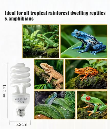 2 Pack E26 5.0 UVA UVB Reptile Light Bulb | 26W UVB Light Tropical Compact Fluorescent Terrarium Lamp for Chameleon Iguana Turtle Gecko Frog Snake - size: 26W UVB 5.0