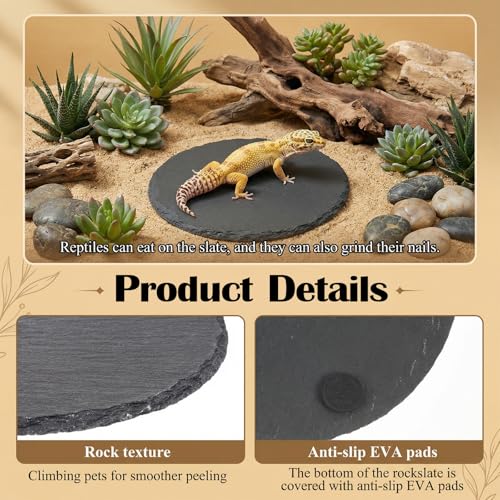 Reptile Basking Platform 6" Round Slate Rock Plate, Natural Tortoise Feeding Bowl Resting Stone for Bearded Dragon Turtle Lizard Gecko