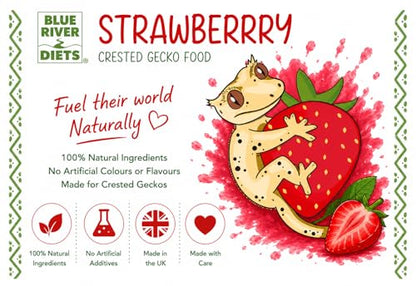 Blue River Diets Crested Gecko Diet | Strawberry Swirl | All Natural Low Fat Complete Gecko Food | 2.1oz