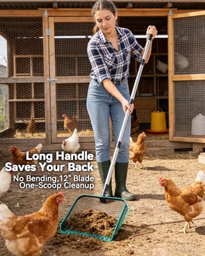 12" Chicken Poop Scooper, Stainless Steel Handle (36–62") | Light weight chicken coop scoop, Litter Scooper & Sand Sifting Shovel for chicken sand, Pet Waste Cleaning