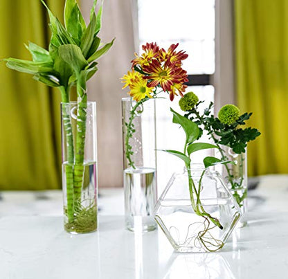 Kingbuy Hexagon Wall Planter Set - 3 Pack Glass Propagation Terrarium Vases with Hanging Mounts for Indoor Plants, Air Plants & Hydroponic Stations Home Office Decor, Plant Lover Gifts (Large) - size: Large