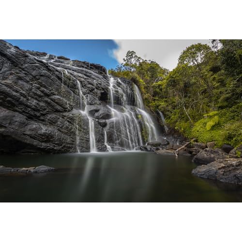 Waterfall Aquarium Background Jungle Rainforest Natural Landscape Fish Tank Background Tranquil Lake Blue Sky Terrarium Background Splendid Falls Scenery Aquarium Tank Wallpaper Poster 24x12in - color: Rock Light Green, size: 24(W)x12(H)in