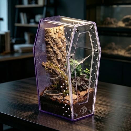 Glitter Acrylic Coffin Jumping Spider Enclosure - Gothic Terrarium Habitat with Magnetic Lid, Micro Reptile Breeding Box for Slings, Mantis, Isopods and Small Insects (Glitter Purple) - color: Glitter Purple