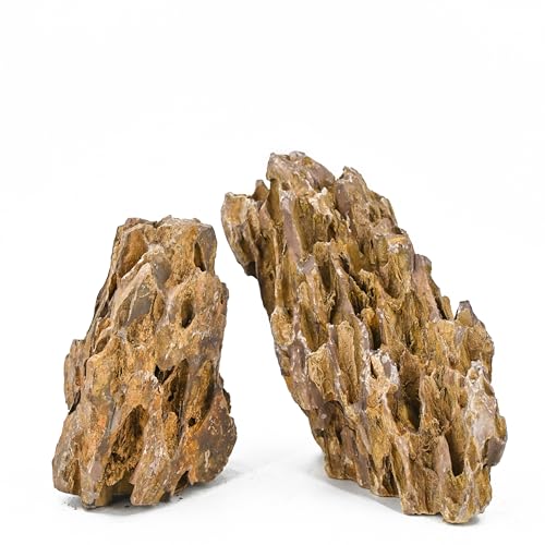 Unocho Aquarium Rocks 5lb Dragon Stone for Aquariums Landscaping Model Fish Tanks Terrariums Vivariums Paludarium Amphibian Enclosures(2-4 inches) - size: 5LB(2-4 inches)