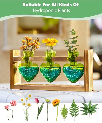 Nacome Plant Terrarium with Wooden Stand, 3 Heart Bulb Glass Vases | Wooden Stand Tabletop for Air Planter, Gifts for Mom Plant Lovers Mom Women Wife Grandma - color: Green
