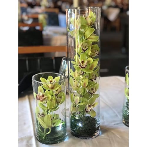 WGVI Quality Thick Clear Cylinder Glass Vase, 3" W x 5" H, Floral Container, Glass Candle Holder, Flower Vases, Wedding Centerpiece, Planter Terrarium, Table Top Home Décor Accent, 1 Piece - size: 3"x5"H