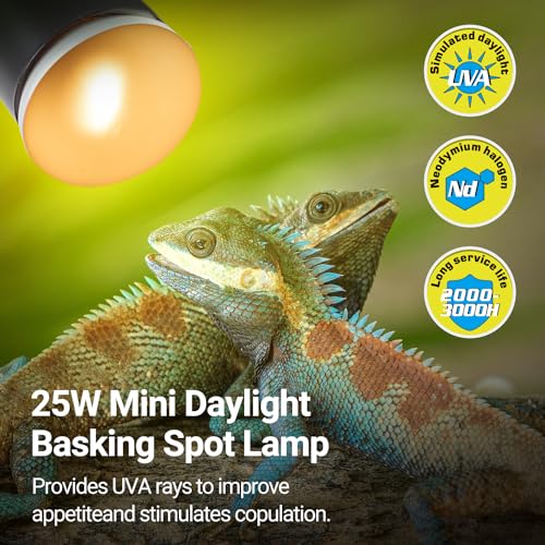 REPTI ZOO Nano Dual Dome Reptile Light Fixture and 25W Reptile Heat Lamp Combo Pack, Mini Daylight Basking Spot Heat Lamp & Nano Heat Emitter Basking Spot Lamp