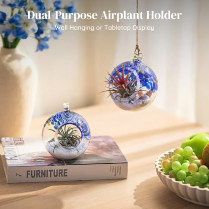 Glasseam Hanging Glass Plant Terrarium: 3Pcs Hanging Airplant Fern Holders | 4 Inch Thick Handmade Planter Hanger Globe for Tillandsia Succulent Moss, Indoor Wall Window Decor Gift for Plant Lovers