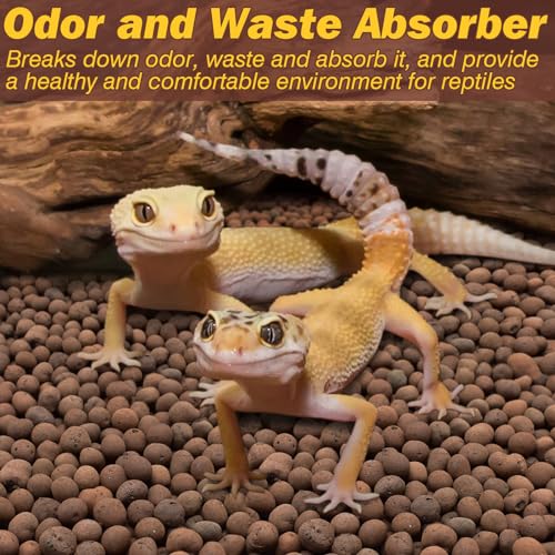 Reptile Substrate Clay Balls for Terrarium, 2 LBS | Organic Expanded Clay Pebbles, Moisturizing & Drainage False Bottom Substrate for Reptiles & Amphibians, Bioactive Substrate - color: 2LBS