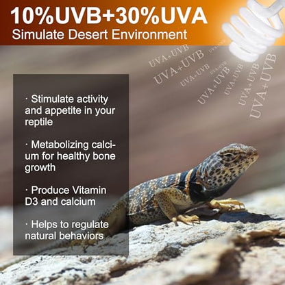 UVB Reptile Light Bulb 10.0, 23W UV Spiral Compact Florescent Terrarium Lamp Ideal for Desert Reptiles Bearded Dragons Lizard Tortoise Iguanas Chameleons Snake - 2 Pack - size: UVB10.0