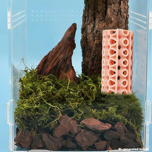 Magnetic Jumping Spider Hide – Jumping Spider Accessories, 3D Printed Cave Climbing Tunnel for Tarantula Geckos and Small Reptile Habitats