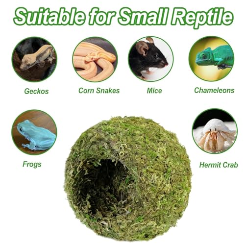 4pcs Crested Gecko Hide,Reptile Mossy Caves Hideout,Leopard Gecko Humid Hide,Natural Moss Cave Hiding Decor Tank Accessories for Reptiles, Amphibians,Invertebrates,Lizard,Frog