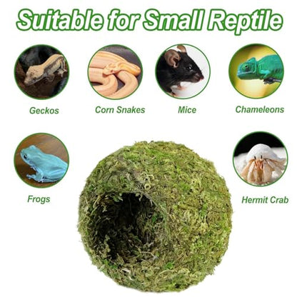 4pcs Crested Gecko Hide,Reptile Mossy Caves Hideout,Leopard Gecko Humid Hide,Natural Moss Cave Hiding Decor Tank Accessories for Reptiles, Amphibians,Invertebrates,Lizard,Frog