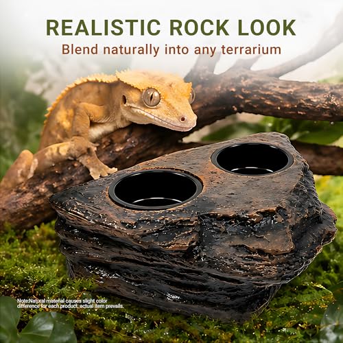 Magnetic Crested Gecko Feeding Ledge with Tongs, 4-Cup Rock Feeder | Made of pet-safe rock plastic for arboreal tanks, this dual-magnet dish stays secure, paired with 6.29in feeding tweezers