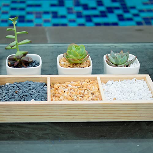 18lb White Cactus Pea Gravel Rocks,1/4 Inch Pebbles for Indoor Plants, Natural Succulent Rock and River Rocks Decorative for Aquariums, Vases, Outdoor Gardening, Top Dressing for Potted Plants - color: White Onyx, size: 18LB
