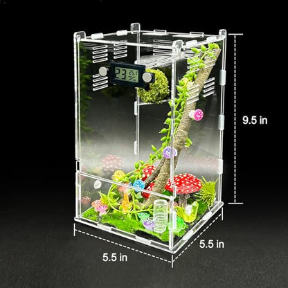 Jumping Spider Enclosure,DIY Insects Habitat,Small Reptile Terrarium Glass House Accessories Set,with Temperature and Humidity Detector Water Feeder Platform Hide,5.5“x5.5”x9.5“ (Luminous Mushrooms) - color: Luminous mushrooms